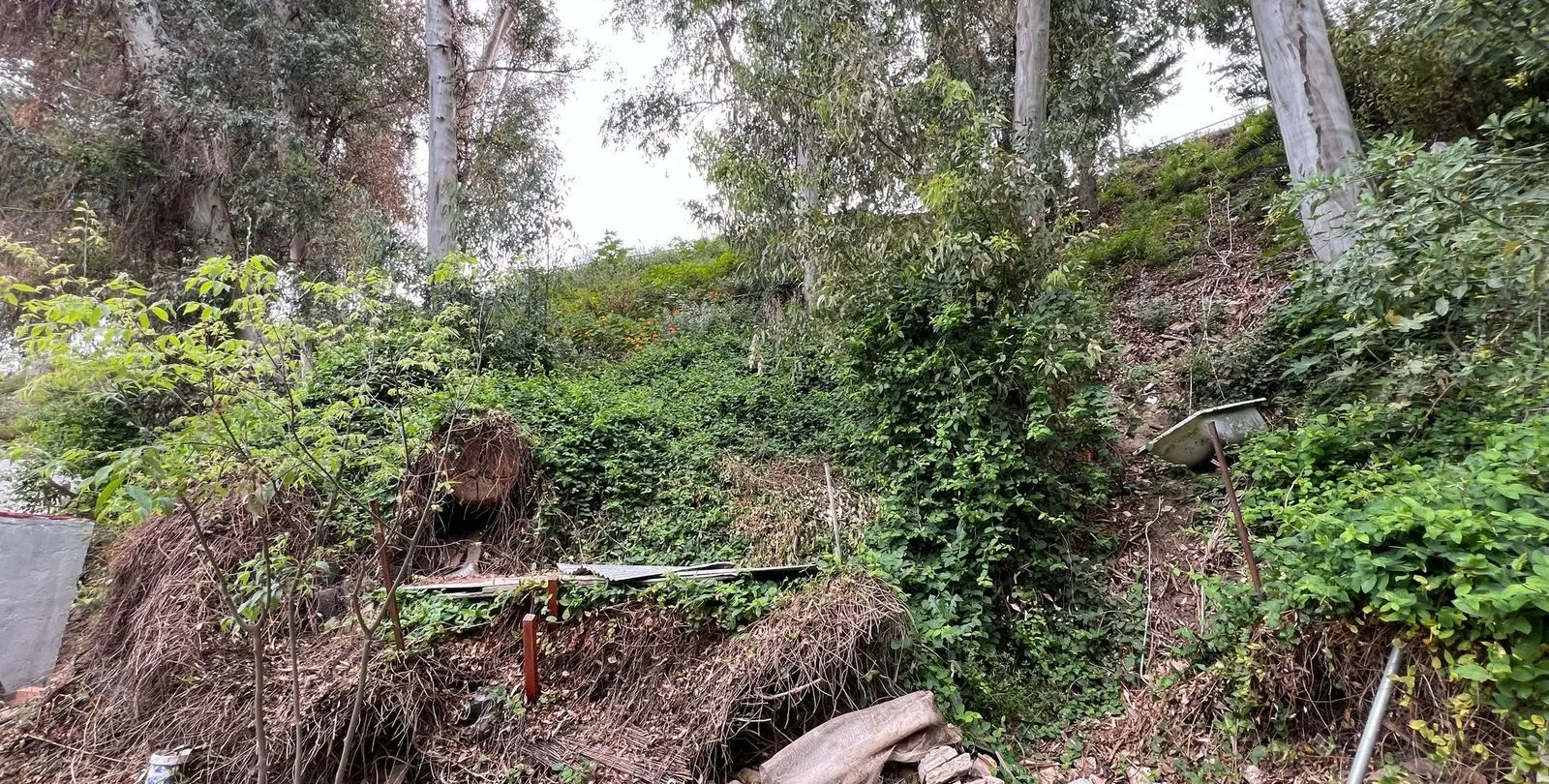 Sale of residential plot in Málaga 6
