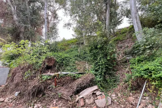Image 6 thumb
