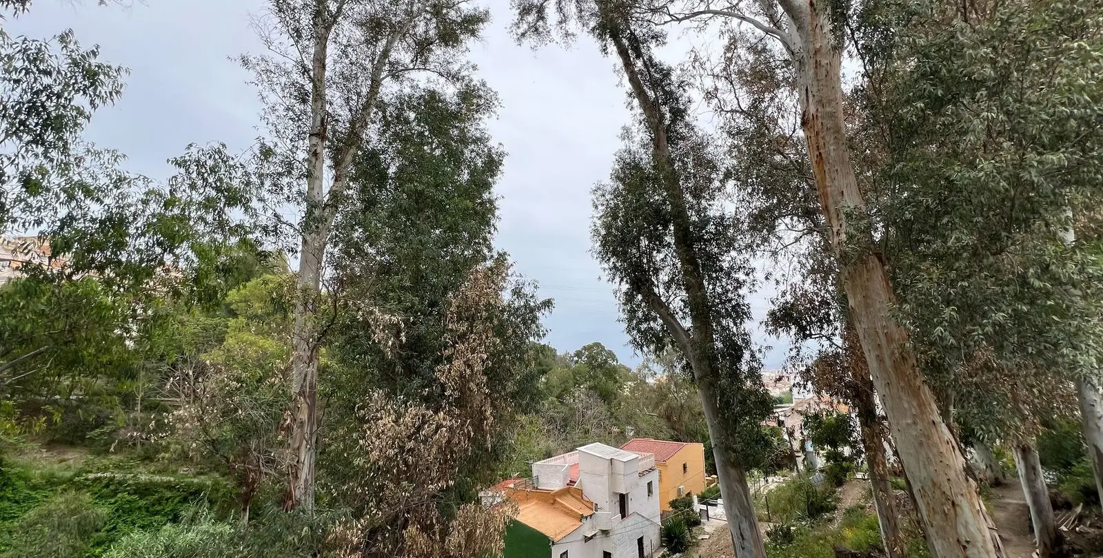 Sale of residential plot in Málaga 8