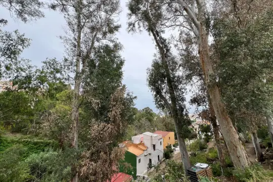Image 8 thumb