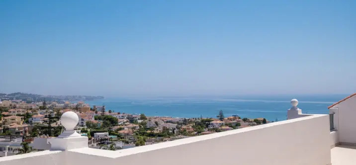 Продажа пентхауса в Miraflores 0