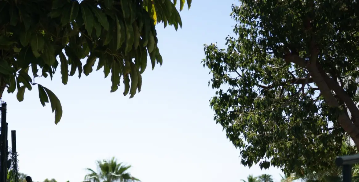 Venta de ático en Miraflores 36