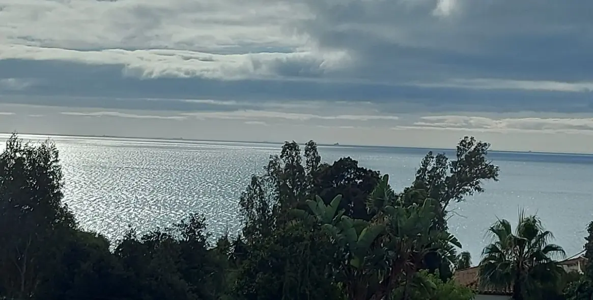 Sale of detached villa in Manilva 24