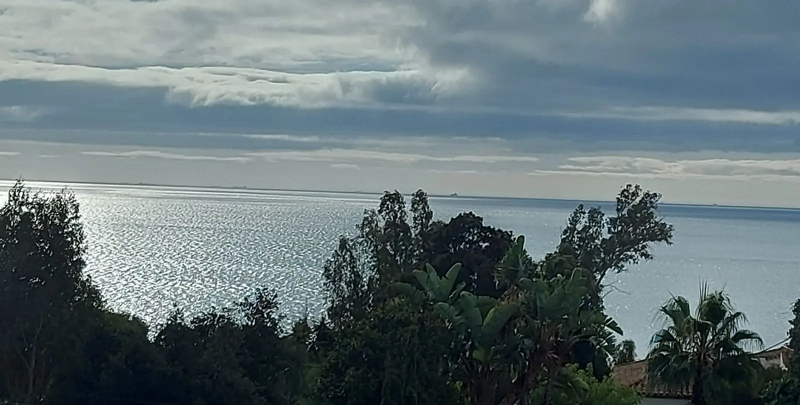 Sale of detached villa in Manilva 24