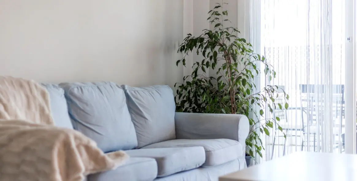 Sale of middle floor apartment in Nueva Andalucía 21