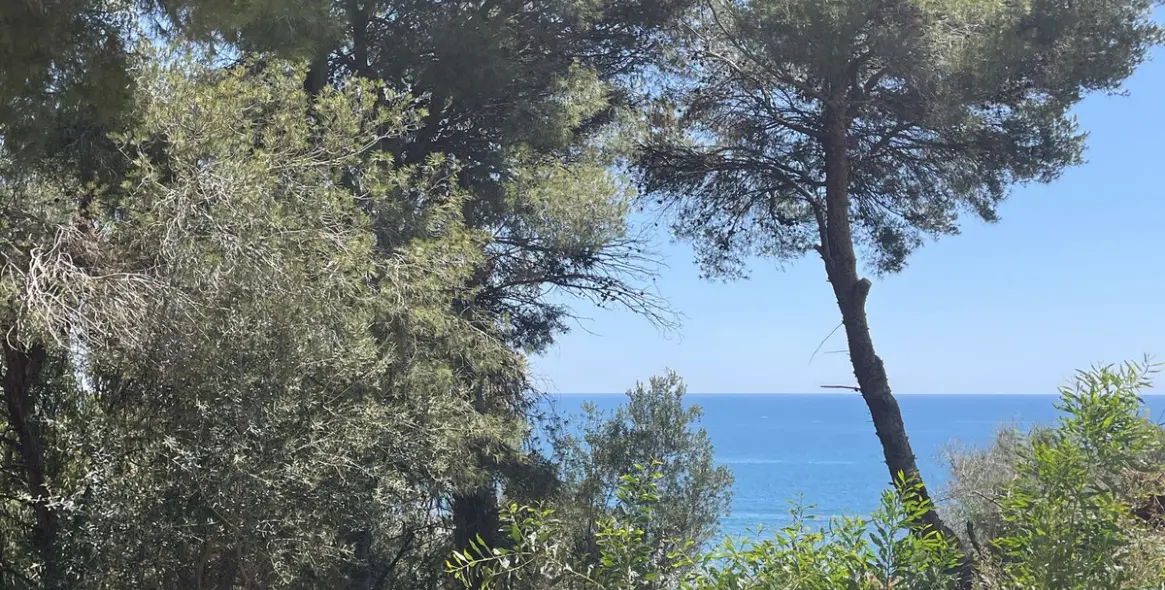 Продажа  жилого участка в Torreblanca 3