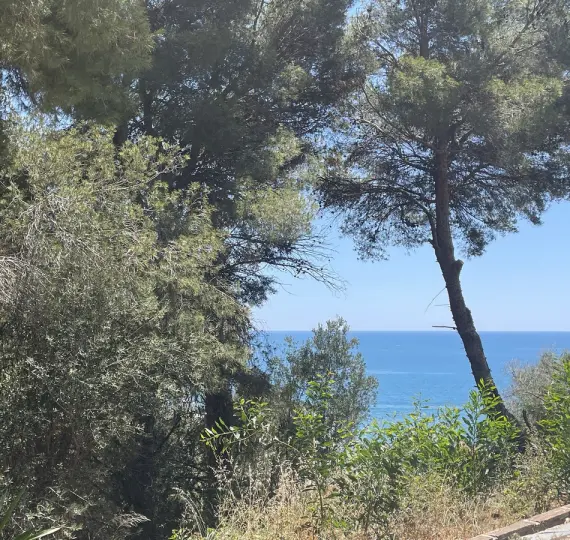 Venta de parcela residencial en Torreblanca