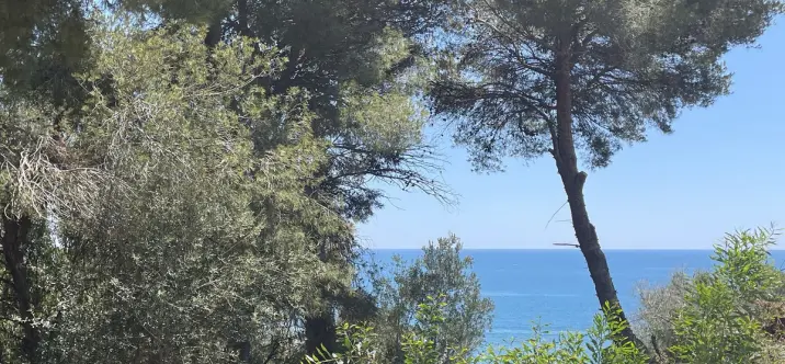 Venta de parcela residencial en Torreblanca 2