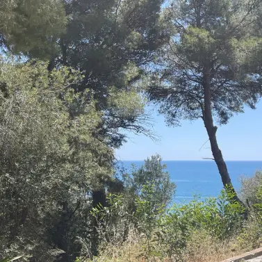 Venta de parcela residencial en Torreblanca