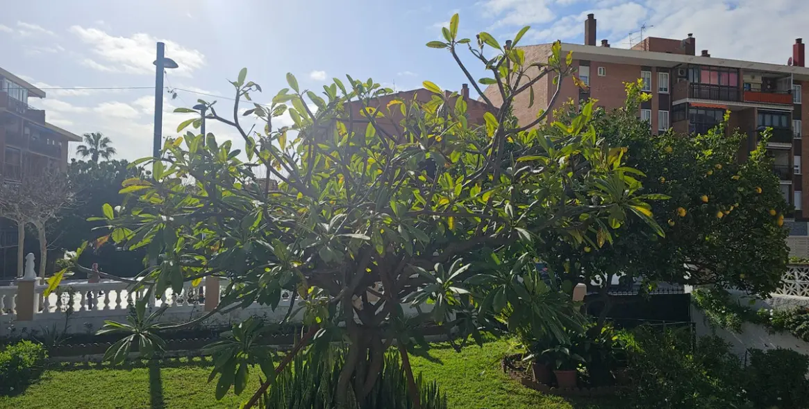 Sale of detached villa in Arroyo de la Miel 17