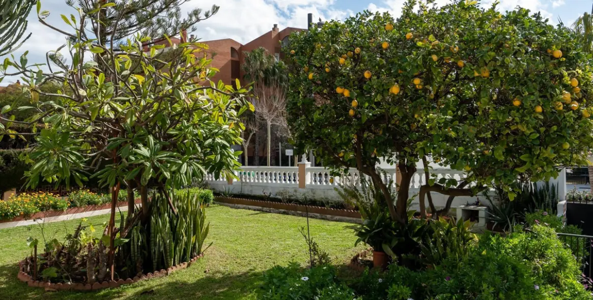 Sale of detached villa in Arroyo de la Miel 19