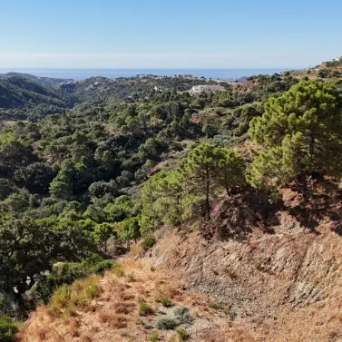 Sale of residential plot in Benahavís