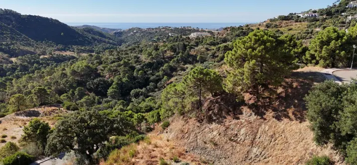 Sale of residential plot in Benahavís 2