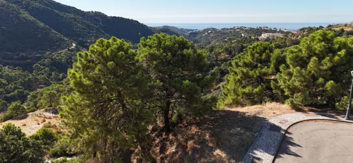 Sale of residential plot in Benahavís 4