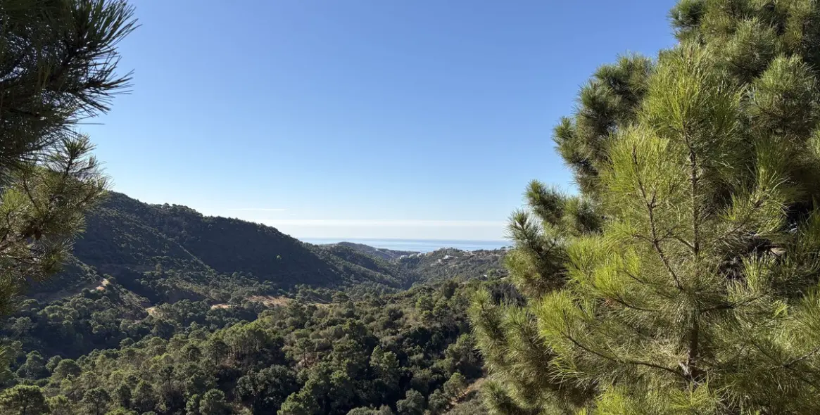 Sale of residential plot in Benahavís 6