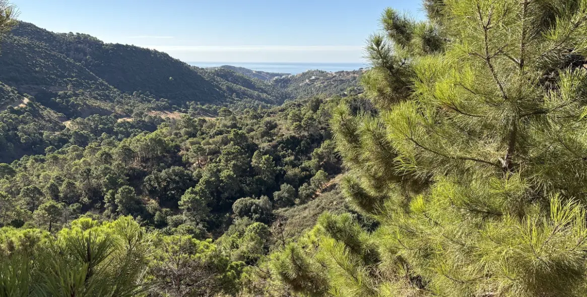 Sale of residential plot in Benahavís 7