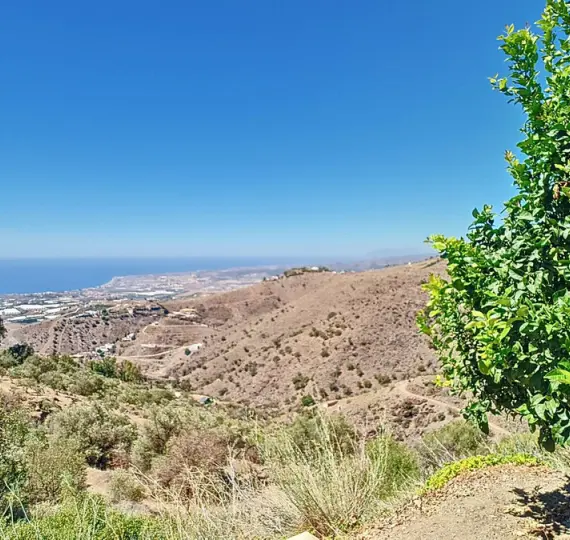 Продажа  отдельно стоящей виллы в Arenas