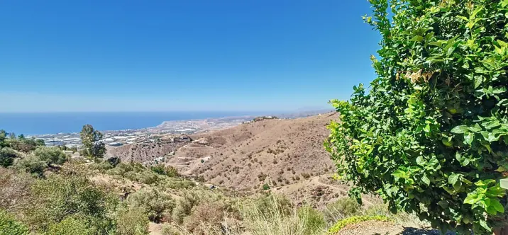 Продажа  отдельно стоящей виллы в Arenas 4