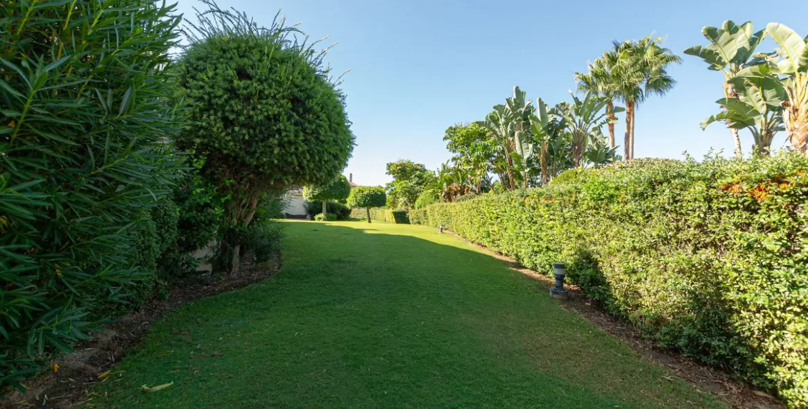 Long-term rent of ground floor apartment in Benahavís 22