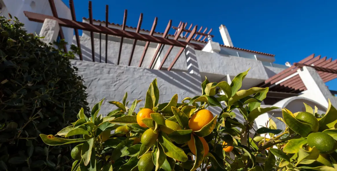 Sale of middle floor apartment in Nueva Andalucía 15