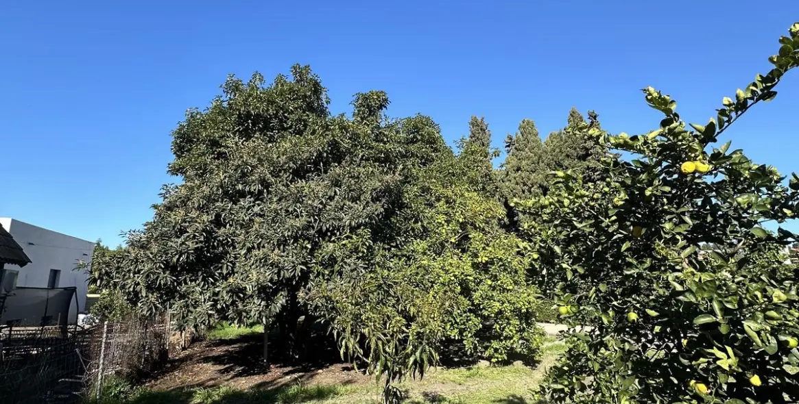 Продажа  отдельно стоящей виллы в San Pedro de Alcántara (район San Pedro de Alcántara) 9