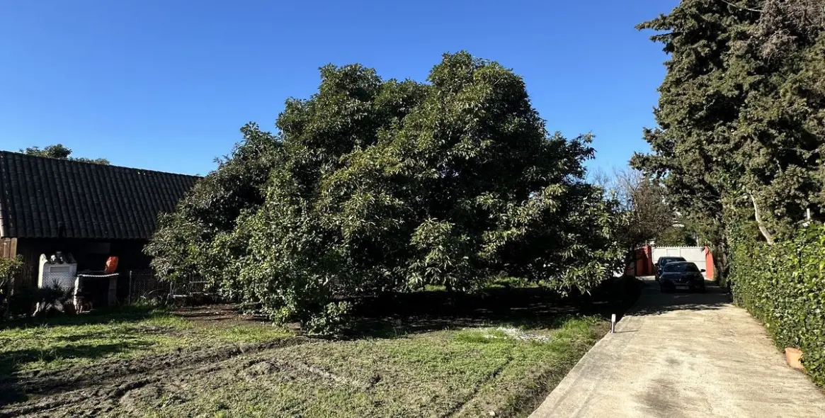 Sale of detached villa in San Pedro de Alcántara 13