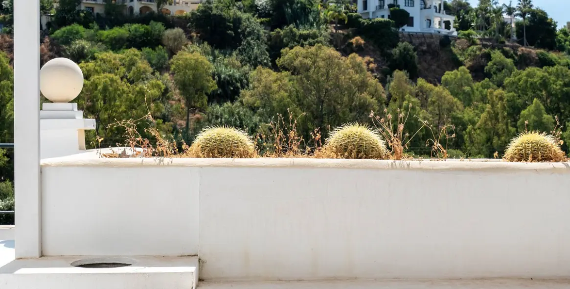 Sale of middle floor apartment in Benahavís 26