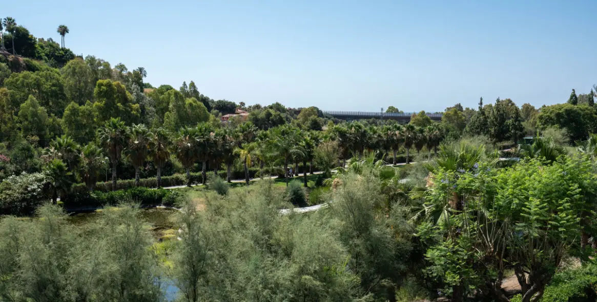 Sale of middle floor apartment in Benahavís 30