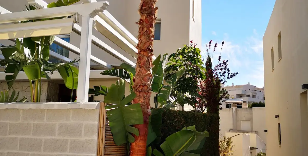 Sale of semi-detached house in Estepona 17