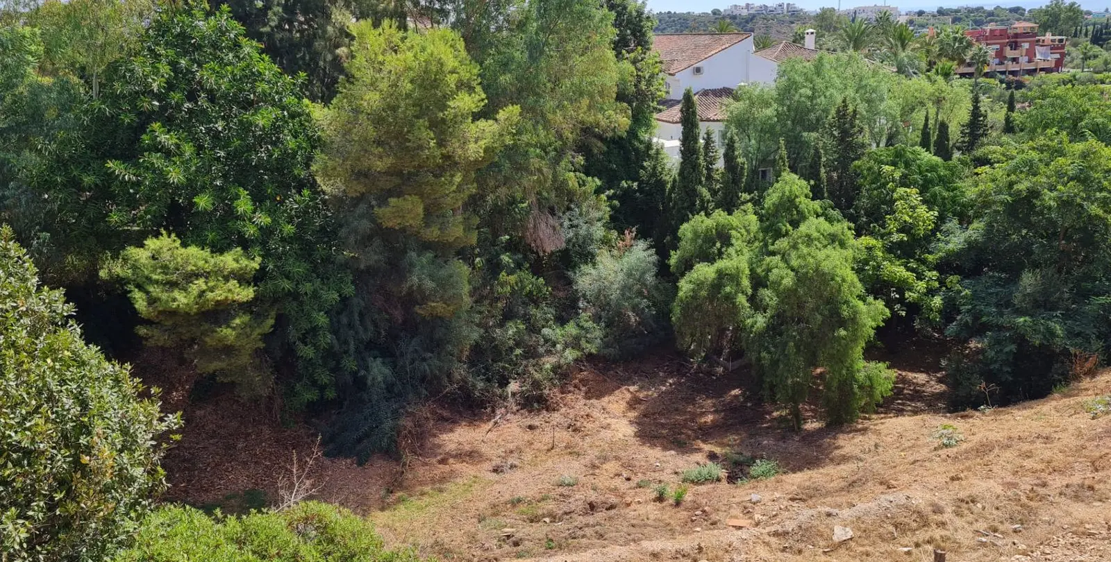 Sale of residential plot in Hacienda Las Chapas 5