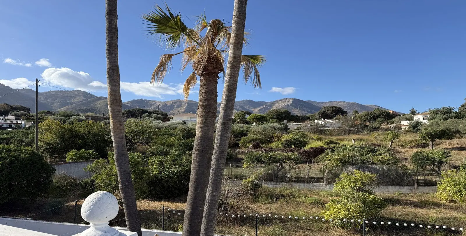 Venta de finca - cortijo en Alhaurín de la Torre 27