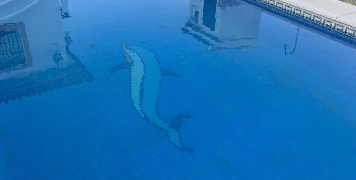 Sale of detached villa in Alhaurín de la Torre 4