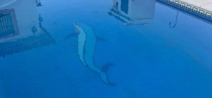 Sale of detached villa in Alhaurín de la Torre 3