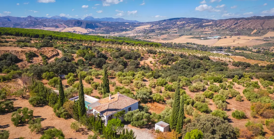 Sale of finca - cortijo in Ronda 1