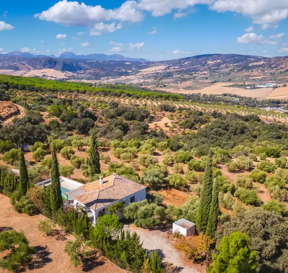 Sale of finca - cortijo in Ronda