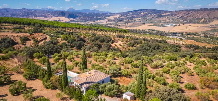 Sale of finca - cortijo in Ronda 0