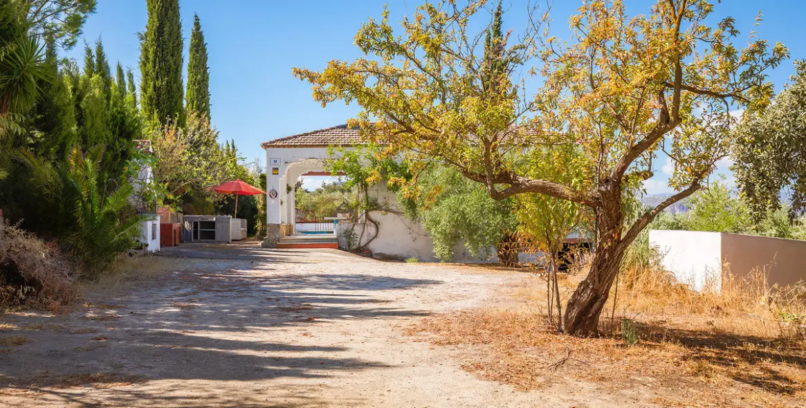 Sale of finca - cortijo in Ronda 21