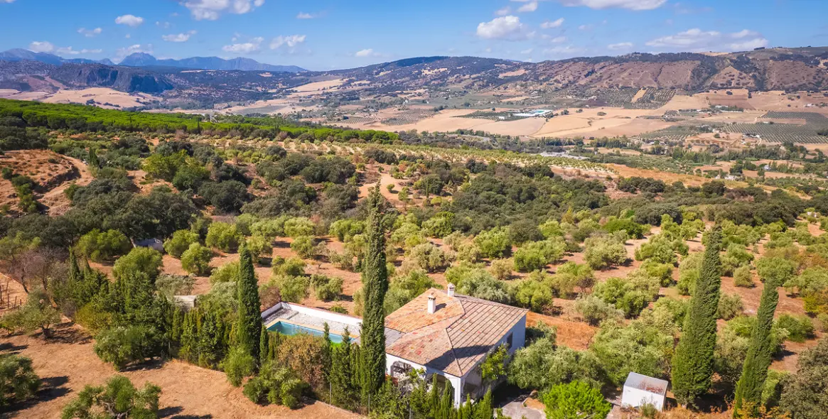 Sale of finca - cortijo in Ronda 24