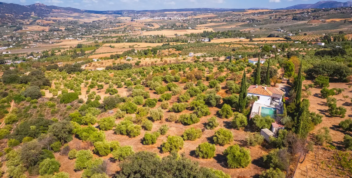 Sale of finca - cortijo in Ronda 25