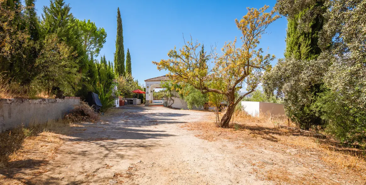 Sale of finca - cortijo in Ronda 26
