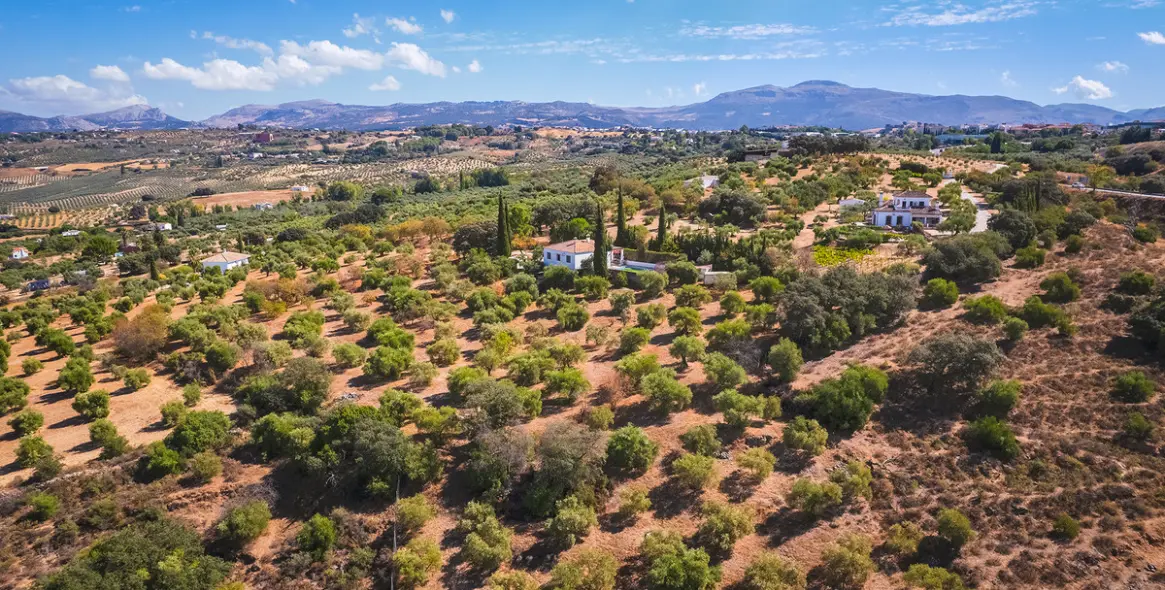 Sale of finca - cortijo in Ronda 28