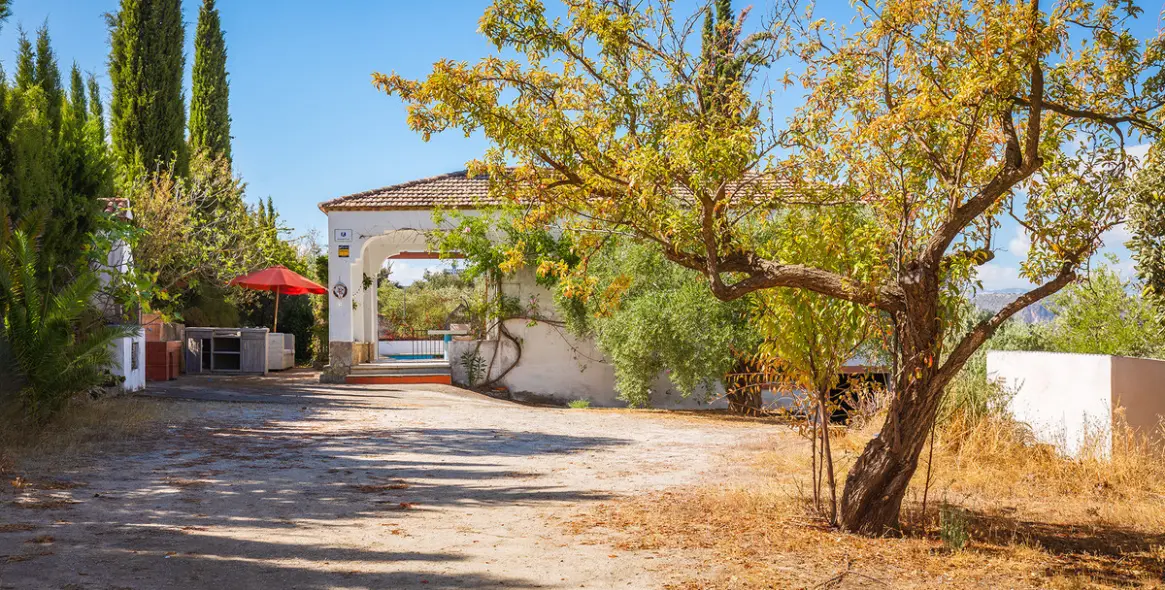 Sale of finca - cortijo in Ronda 29