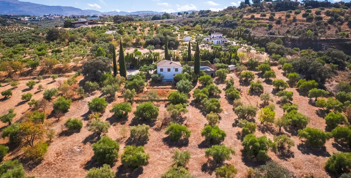 Sale of finca - cortijo in Ronda 34