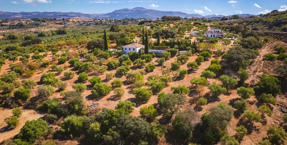Sale of finca - cortijo in Ronda 37