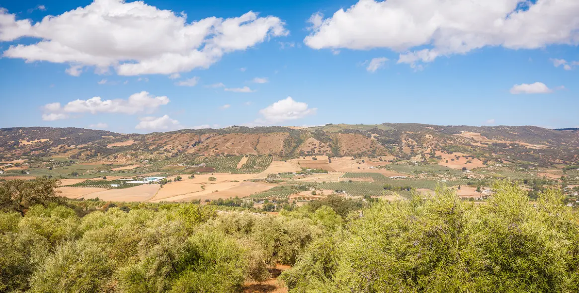 Sale of finca - cortijo in Ronda 38