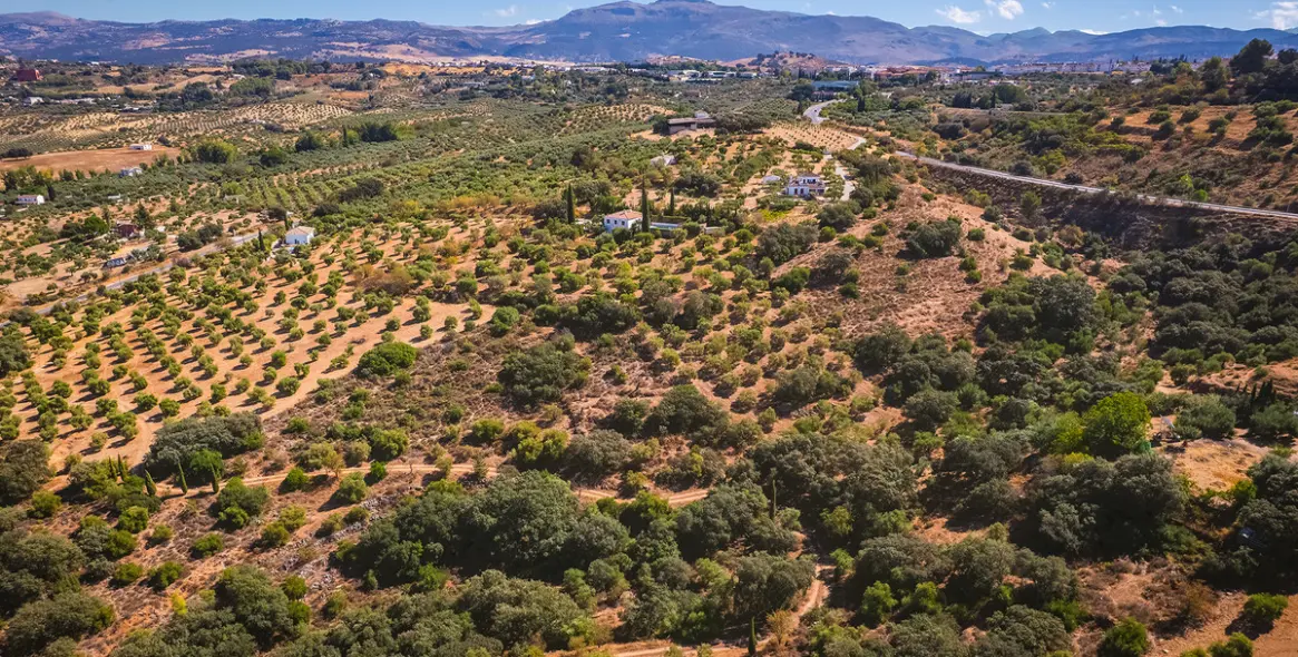 Sale of finca - cortijo in Ronda 39