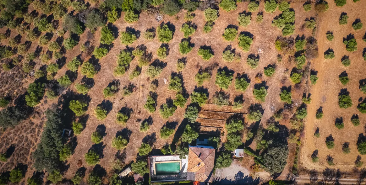Sale of finca - cortijo in Ronda 40