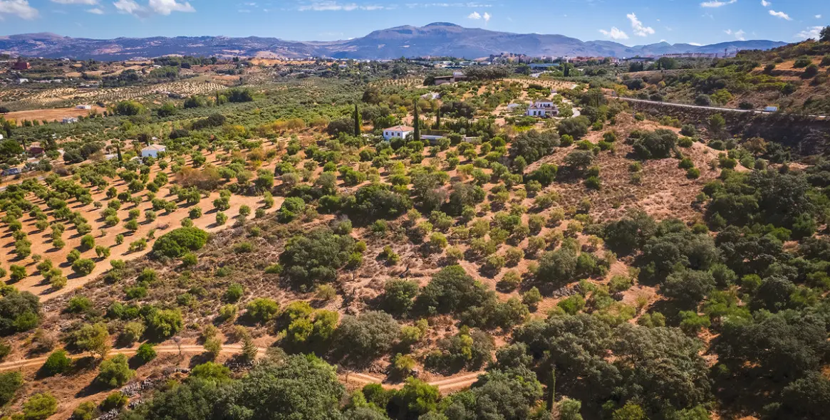Sale of finca - cortijo in Ronda 41