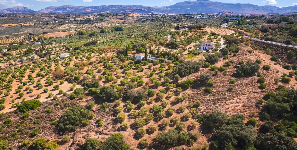 Sale of finca - cortijo in Ronda 43