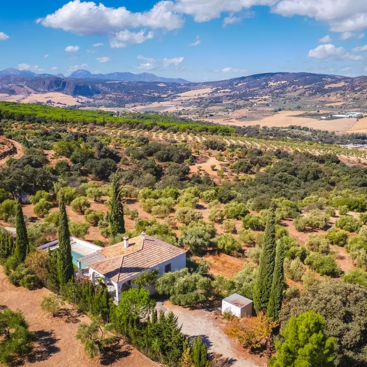 Sale of finca - cortijo in Ronda